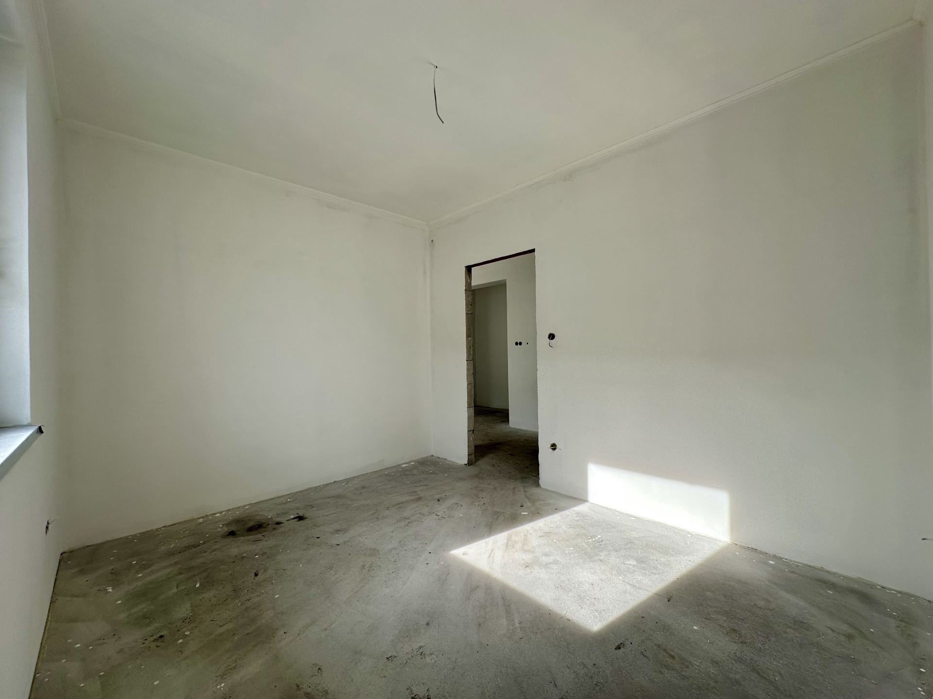 20260225_091531788_iOS copy 2